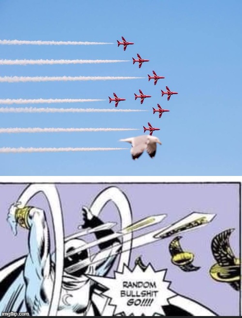 Perfectly timed photo... | made w/ Imgflip meme maker