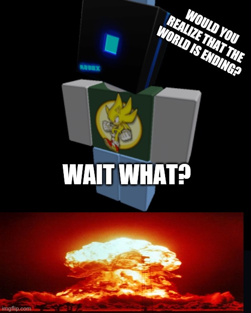 Everyone died | WOULD YOU REALIZE THAT THE WORLD IS ENDING? WAIT WHAT? | image tagged in roblox alfiemania | made w/ Imgflip meme maker