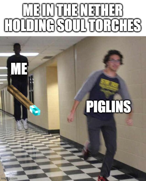 Why? Don't mind me just doing my errands in the nether. | ME IN THE NETHER HOLDING SOUL TORCHES; ME; PIGLINS | image tagged in floating boy chasing running boy,memes,piglins,nether | made w/ Imgflip meme maker