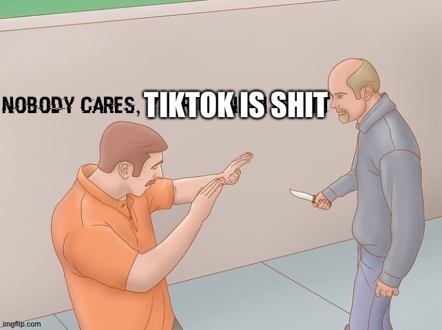 Nobody cares, your opinion is shit | TIKTOK IS SHIT | image tagged in nobody cares your opinion is shit | made w/ Imgflip meme maker