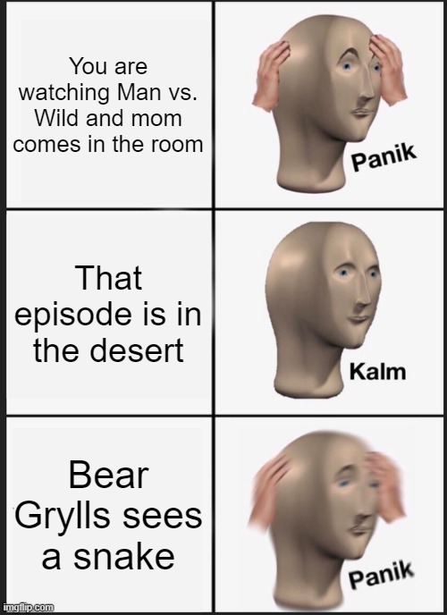 Only pro viewers will understand | You are watching Man vs. Wild and mom comes in the room; That episode is in the desert; Bear Grylls sees a snake | image tagged in memes,panik kalm panik | made w/ Imgflip meme maker