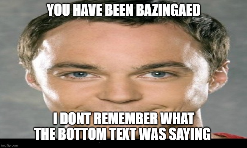 BAAAAAAAZINGA- - Imgflip