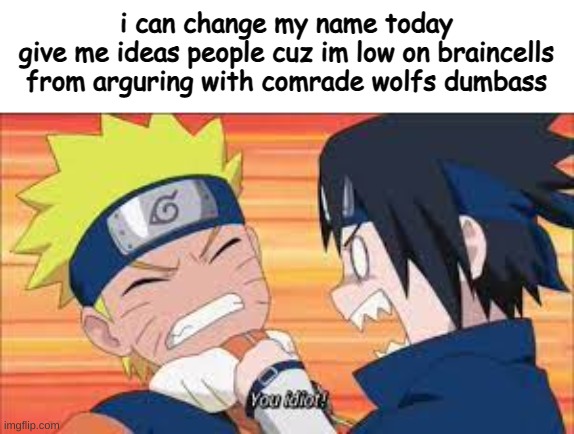 you idiot! | i can change my name today
give me ideas people cuz im low on braincells from arguring with comrade wolfs dumbass | image tagged in you idiot | made w/ Imgflip meme maker