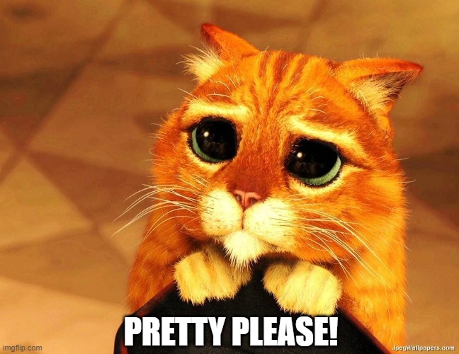 PussInBoots | PRETTY PLEASE! | image tagged in puss in boots shrek cat begging,cat,please | made w/ Imgflip meme maker