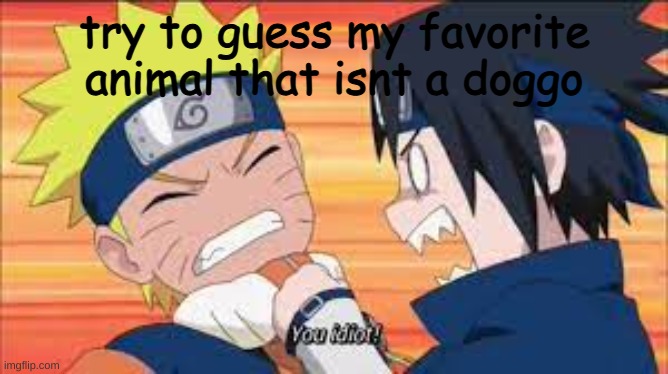you idiot! | try to guess my favorite animal that isnt a doggo | image tagged in you idiot | made w/ Imgflip meme maker