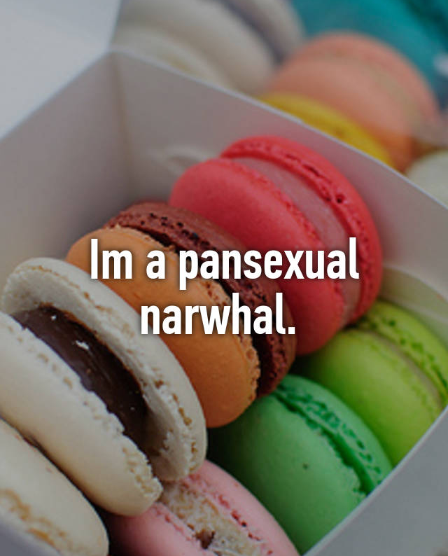 i'm a pansexual narwhal Blank Meme Template
