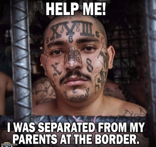 The Democrat children | image tagged in illegal immigration,illegal aliens,joe biden,democrats,liberal logic,memes | made w/ Imgflip meme maker