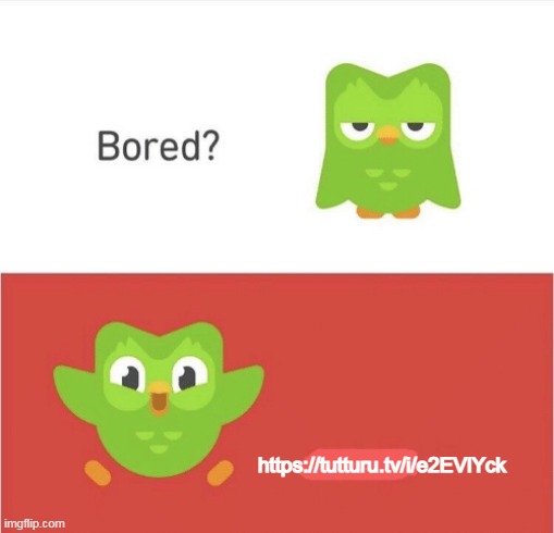 e | https://tutturu.tv/i/e2EVlYck | image tagged in bored duolingo | made w/ Imgflip meme maker