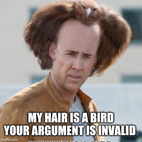 MY HAIR IS A BIRD
YOUR ARGUMENT IS INVALID | made w/ Imgflip meme maker