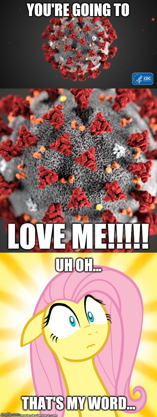 Fluttershy vs COVID-19 | YOU'RE GOING TO; LOVE ME!!!!! UH OH... THAT'S MY WORD... | image tagged in covid 19,coronavirus,shocked fluttershy,fluttershy,memes | made w/ Imgflip meme maker