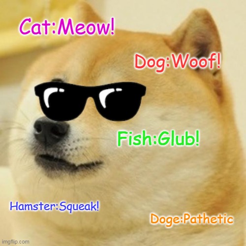 Doge rules LOL | Cat:Meow! Dog:Woof! Fish:Glub! Hamster:Squeak! Doge:Pathetic | image tagged in memes,doge | made w/ Imgflip meme maker