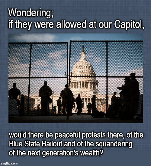 Capitol protests | image tagged in politics | made w/ Imgflip meme maker