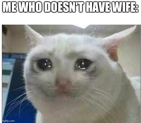 crying cat | ME WHO DOESN'T HAVE WIFE: | image tagged in crying cat | made w/ Imgflip meme maker