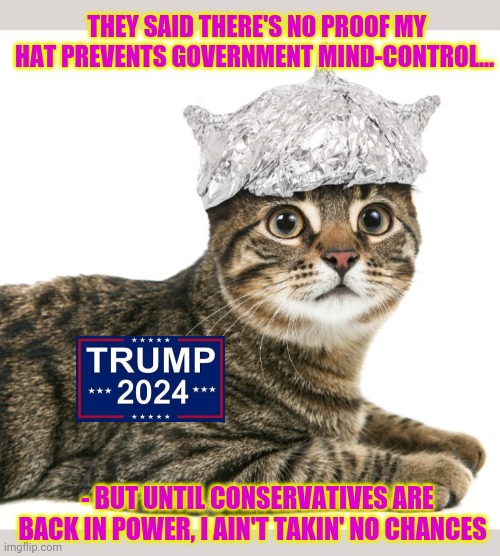 The cat in the tin-foil hat | THEY SAID THERE'S NO PROOF MY HAT PREVENTS GOVERNMENT MIND-CONTROL... - BUT UNTIL CONSERVATIVES ARE BACK IN POWER, I AIN'T TAKIN' NO CHANCES | image tagged in government,mind control,conservatives,rule | made w/ Imgflip meme maker