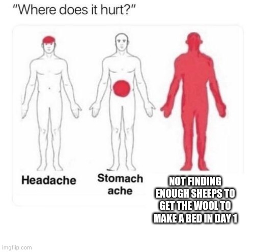 Do you felt this before? | NOT FINDING ENOUGH SHEEPS TO GET THE WOOL TO MAKE A BED IN DAY 1 | image tagged in where does it hurt | made w/ Imgflip meme maker