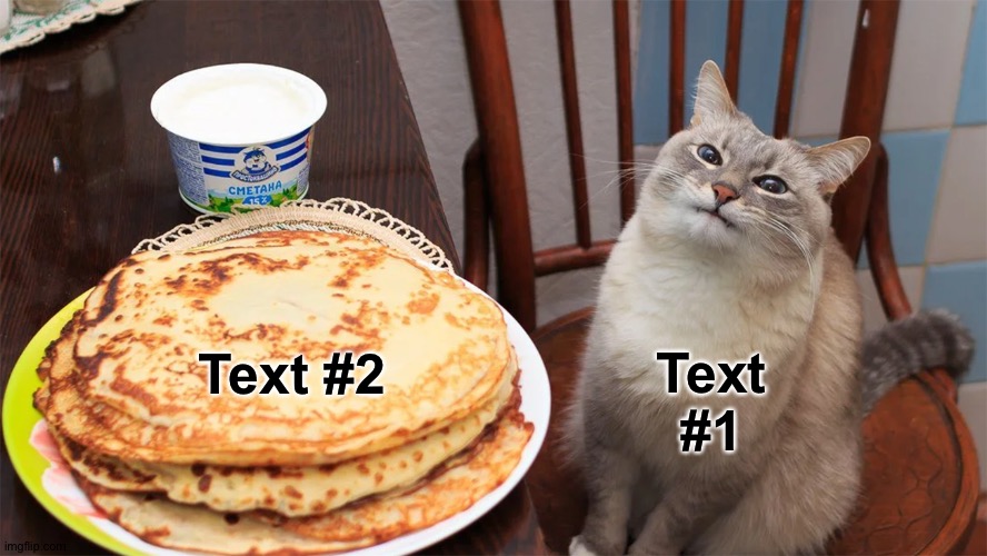 Link in comments | Text #2; Text #1 | image tagged in cat doesn't like their blini | made w/ Imgflip meme maker