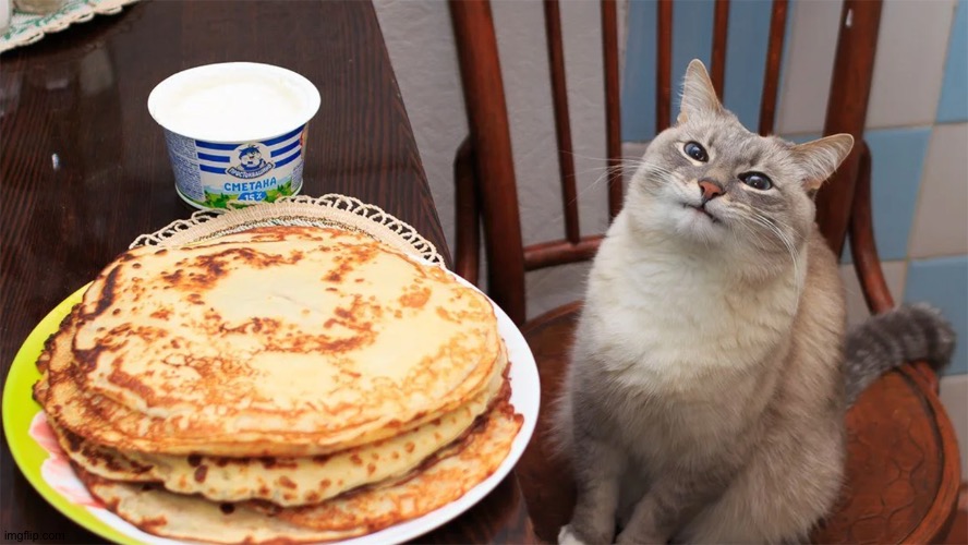 Cat doesn't like their blini | image tagged in cat doesn't like their blini | made w/ Imgflip meme maker