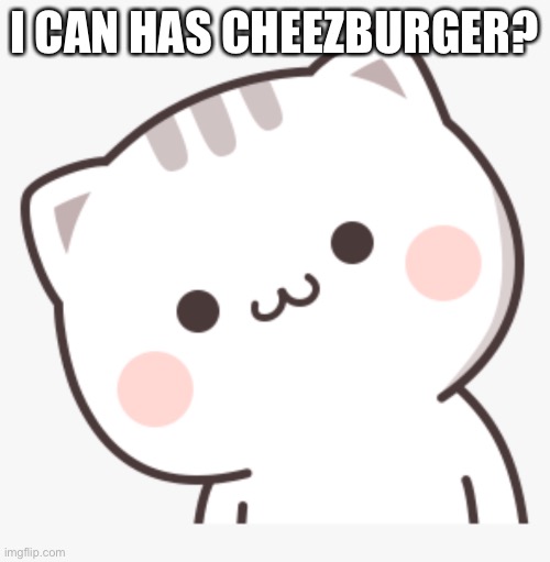 Tried to make a crossover | I CAN HAS CHEEZBURGER? | image tagged in kawaii cat 6 | made w/ Imgflip meme maker