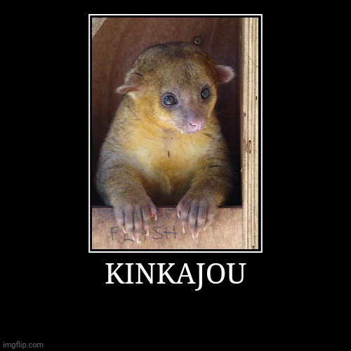 Kinkajou | image tagged in demotivationals,kinkajou | made w/ Imgflip demotivational maker