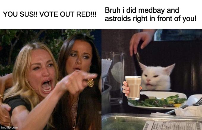 Woman Yelling At Cat Meme | YOU SUS!! VOTE OUT RED!!! Bruh i did medbay and astroids right in front of you! | image tagged in memes,woman yelling at cat | made w/ Imgflip meme maker