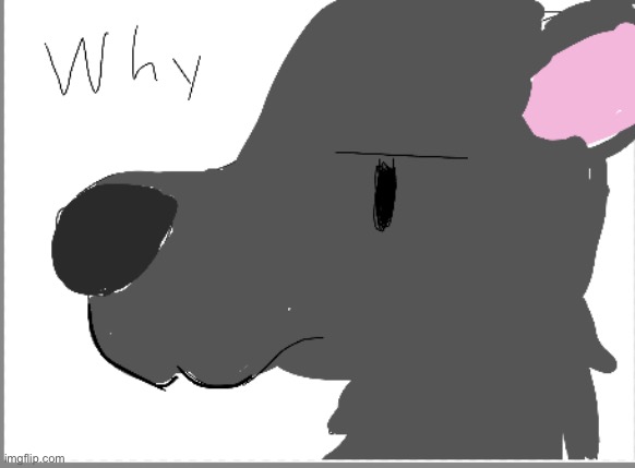 Why wolf face | image tagged in why wolf face | made w/ Imgflip meme maker