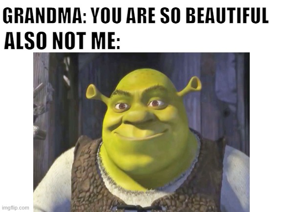 Shrek is beautiful | GRANDMA: YOU ARE SO BEAUTIFUL; ALSO NOT ME: | image tagged in memes,shrek | made w/ Imgflip meme maker