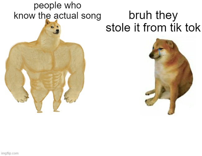 Buff Doge vs. Cheems Meme | people who know the actual song; bruh they stole it from tik tok | image tagged in memes,buff doge vs cheems | made w/ Imgflip meme maker
