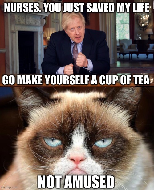 Not Amused | NURSES. YOU JUST SAVED MY LIFE; GO MAKE YOURSELF A CUP OF TEA; NOT AMUSED | image tagged in boris johnson speech,memes,grumpy cat not amused | made w/ Imgflip meme maker