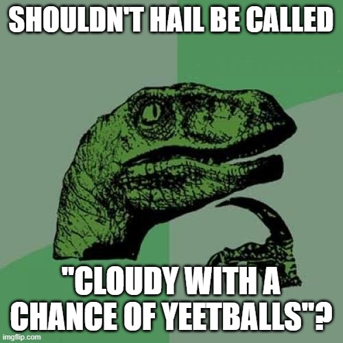 Philosoraptor | SHOULDN'T HAIL BE CALLED; "CLOUDY WITH A CHANCE OF YEETBALLS"? | image tagged in memes,philosoraptor | made w/ Imgflip meme maker