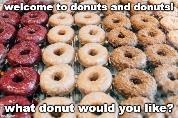 to all donuts and donuts visitors | welcome to donuts and donuts! what donut would you like? | made w/ Imgflip meme maker