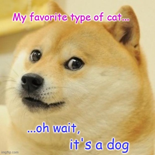 Dog Lover | My favorite type of cat... ...oh wait, it's a dog | image tagged in memes,doge,dog vs cat | made w/ Imgflip meme maker