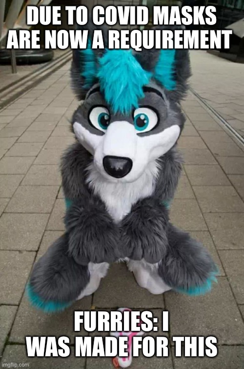 Masks | DUE TO COVID MASKS ARE NOW A REQUIREMENT; FURRIES: I WAS MADE FOR THIS | image tagged in furry | made w/ Imgflip meme maker