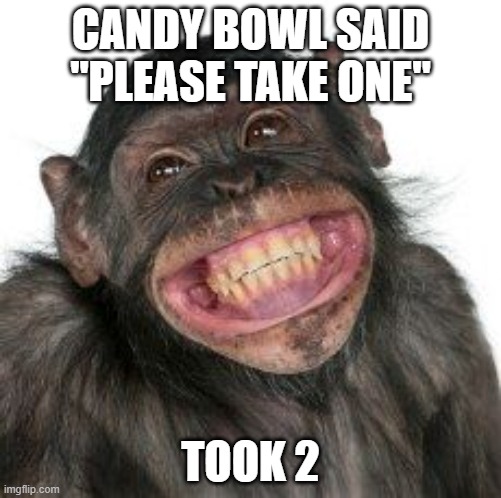 Grinning Chimp | CANDY BOWL SAID "PLEASE TAKE ONE"; TOOK 2 | image tagged in grinning chimp | made w/ Imgflip meme maker
