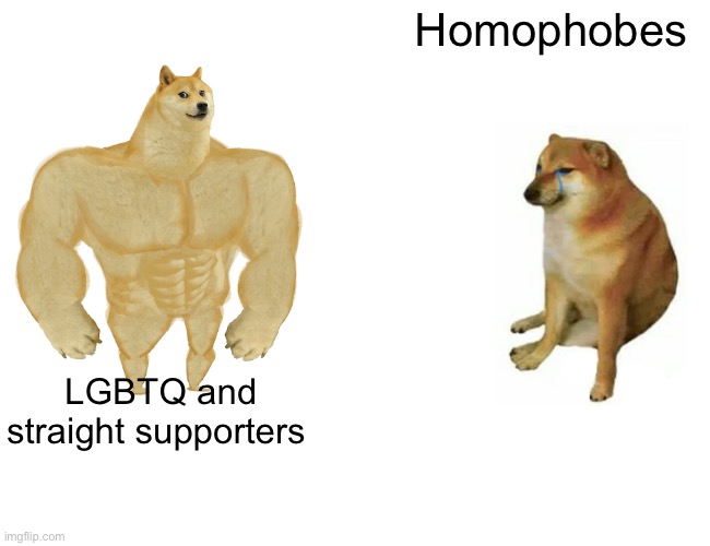 True | Homophobes; LGBTQ and straight supporters | image tagged in memes,buff doge vs cheems | made w/ Imgflip meme maker