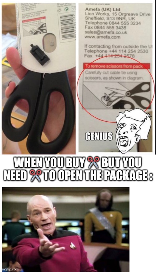 Go buy a second pair of scissors! | WHEN YOU BUY ✂️ BUT YOU NEED ✂️ TO OPEN THE PACKAGE : | image tagged in blank white template,dumb,picard wtf,why,scissors | made w/ Imgflip meme maker