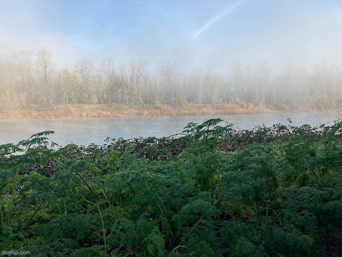Fog over the river, contrasting river banks | image tagged in pictures | made w/ Imgflip meme maker