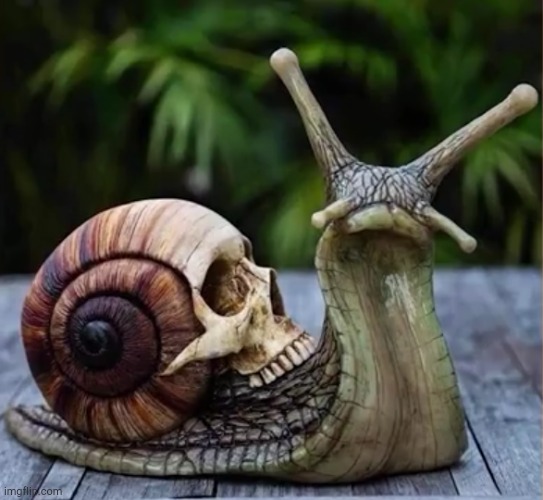 such a badass snail | image tagged in snail,awesome,gangsta | made w/ Imgflip meme maker