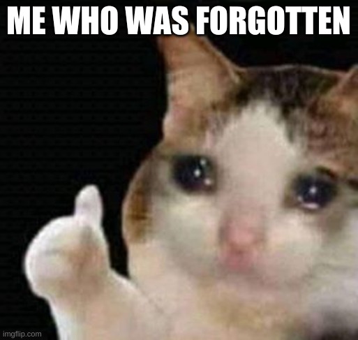 sad thumbs up cat | ME WHO WAS FORGOTTEN | image tagged in sad thumbs up cat | made w/ Imgflip meme maker