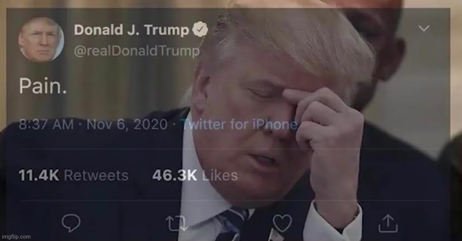 link in comments | image tagged in donald trump pain,new template | made w/ Imgflip meme maker