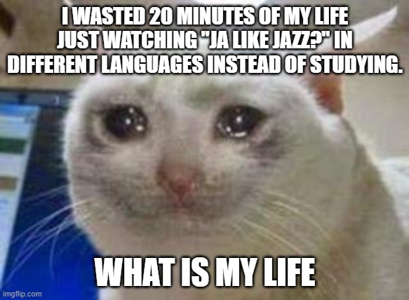 And people think I'm a nerd. Yeah sure | I WASTED 20 MINUTES OF MY LIFE JUST WATCHING "JA LIKE JAZZ?" IN DIFFERENT LANGUAGES INSTEAD OF STUDYING. WHAT IS MY LIFE | image tagged in sad cat,memes,wasting time | made w/ Imgflip meme maker