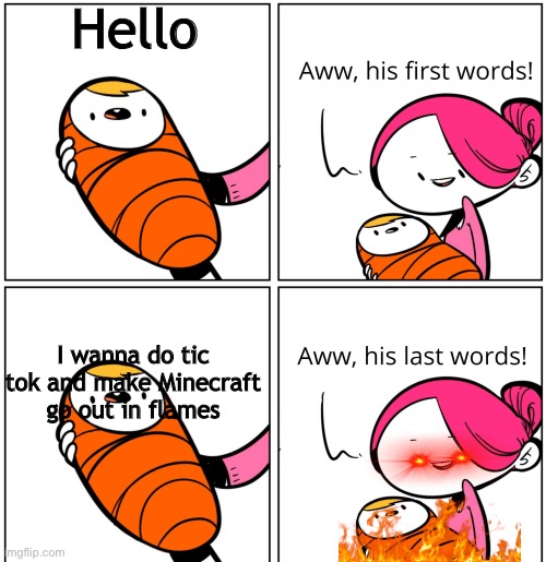 Aww, His Last Words | Hello; I wanna do tic tok and make Minecraft go out in flames | image tagged in aww his last words | made w/ Imgflip meme maker