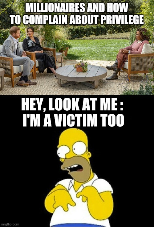 No Victims Here | MILLIONAIRES AND HOW TO COMPLAIN ABOUT PRIVILEGE; HEY, LOOK AT ME : 
I'M A VICTIM TOO | image tagged in megan,harry,oprah,homer,privilege,democrats | made w/ Imgflip meme maker