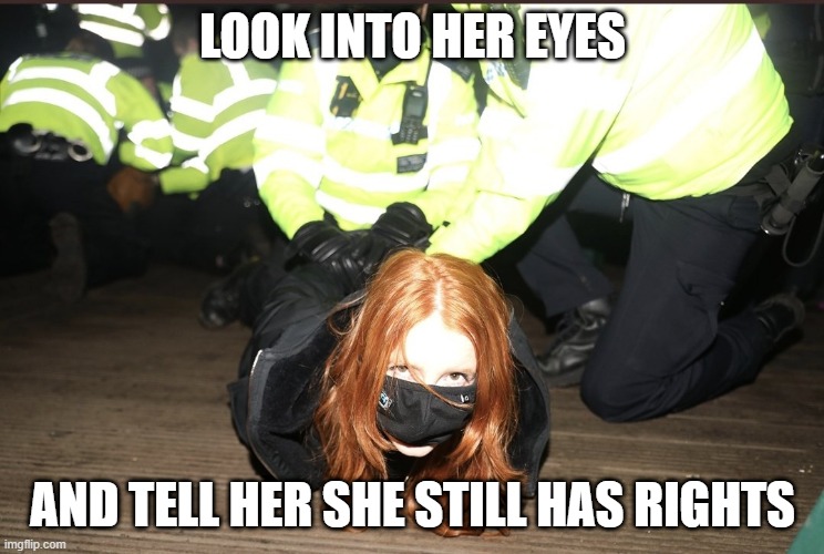 she has rights | LOOK INTO HER EYES; AND TELL HER SHE STILL HAS RIGHTS | image tagged in civil rights | made w/ Imgflip meme maker