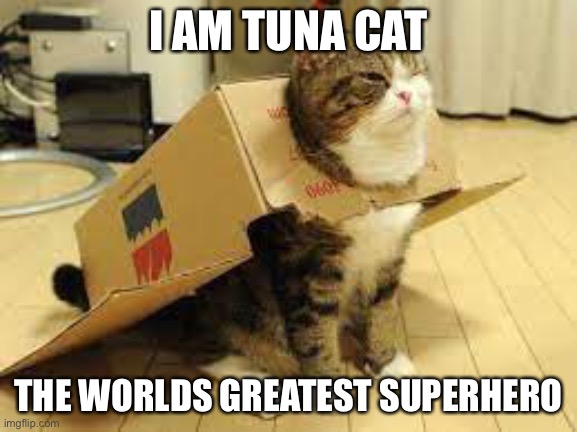 I AM TUNA CAT; THE WORLDS GREATEST SUPERHERO | image tagged in oh my god okay it's happening everybody stay calm | made w/ Imgflip meme maker