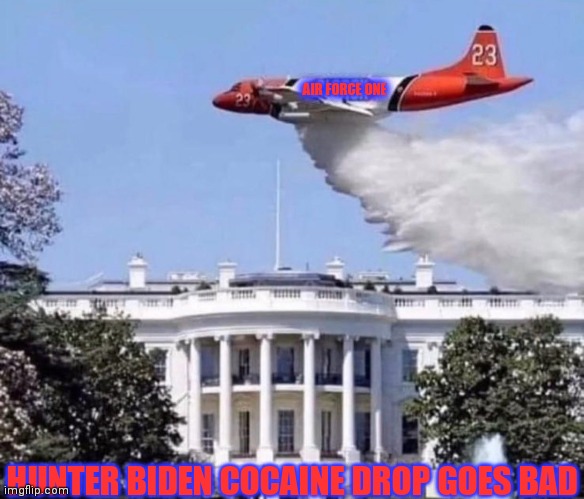 Coke drop gone bad | AIR FORCE ONE; HUNTER BIDEN COCAINE DROP GOES BAD | image tagged in hunter,creepy joe biden | made w/ Imgflip meme maker