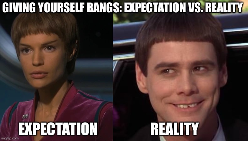 Expectation vs reality short bangs | GIVING YOURSELF BANGS: EXPECTATION VS. REALITY; EXPECTATION                   REALITY | image tagged in expectation vs reality,unrealistic expectations,bad haircut | made w/ Imgflip meme maker