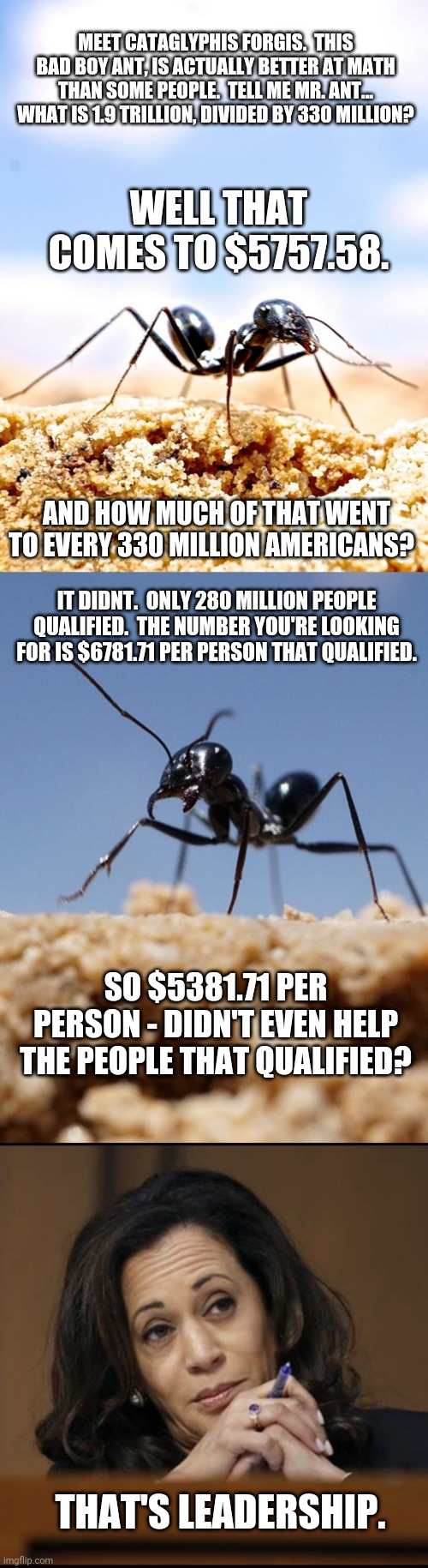 Meet an Ant that can count better than you. | MEET CATAGLYPHIS FORGIS.  THIS BAD BOY ANT, IS ACTUALLY BETTER AT MATH THAN SOME PEOPLE.  TELL ME MR. ANT... WHAT IS 1.9 TRILLION, DIVIDED BY 330 MILLION? WELL THAT COMES TO $5757.58. AND HOW MUCH OF THAT WENT TO EVERY 330 MILLION AMERICANS? IT DIDNT.  ONLY 280 MILLION PEOPLE QUALIFIED.  THE NUMBER YOU'RE LOOKING FOR IS $6781.71 PER PERSON THAT QUALIFIED. SO $5381.71 PER PERSON - DIDN'T EVEN HELP THE PEOPLE THAT QUALIFIED? THAT'S LEADERSHIP. | image tagged in kamala harris,insects,politics lol | made w/ Imgflip meme maker