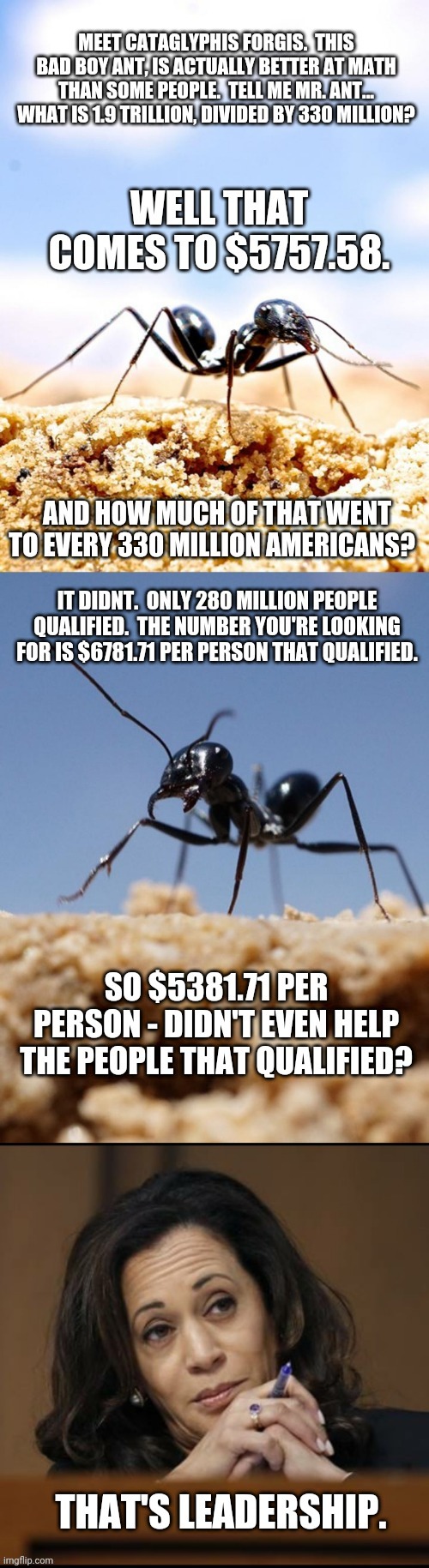 This ant can do math better than a lot of US Citizens. | image tagged in insects,politics,stupid people | made w/ Imgflip meme maker