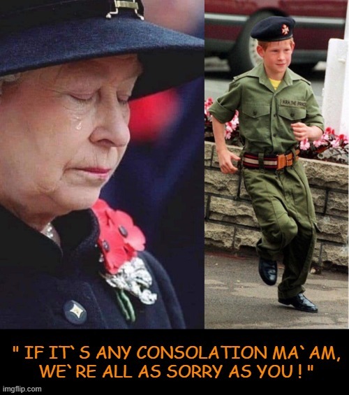 We`re all as sorry as you Ma`am ! | image tagged in prince harry | made w/ Imgflip meme maker