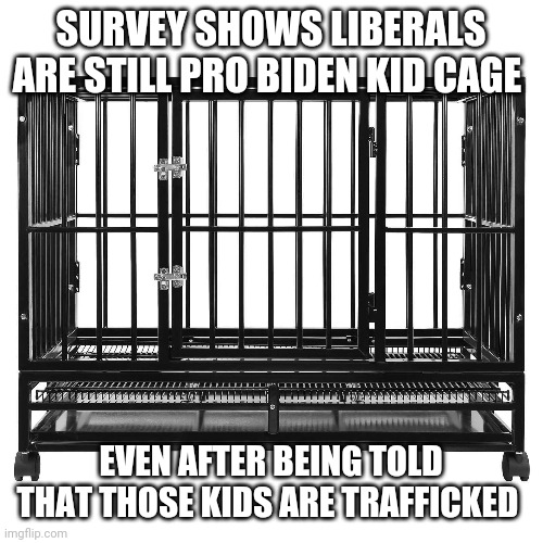 Politics and stuff | SURVEY SHOWS LIBERALS ARE STILL PRO BIDEN KID CAGE; EVEN AFTER BEING TOLD THAT THOSE KIDS ARE TRAFFICKED | image tagged in funny memes | made w/ Imgflip meme maker